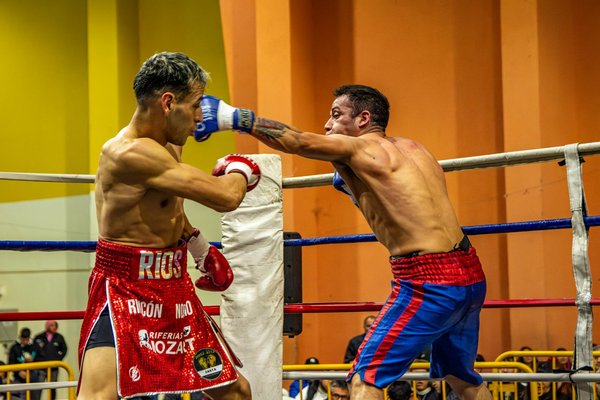 Nutrimuscle : booster ses performances avec la nutrition sportive moderne